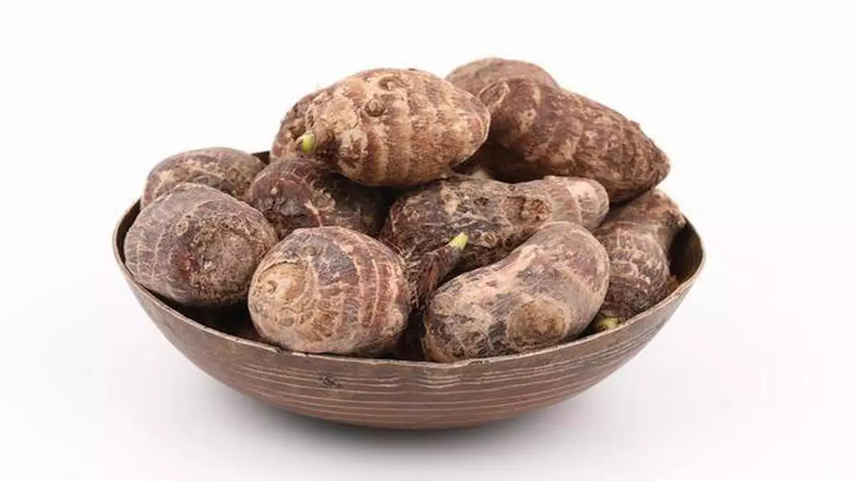The Taro Root And Its Bengali Character The Hindu Businessline