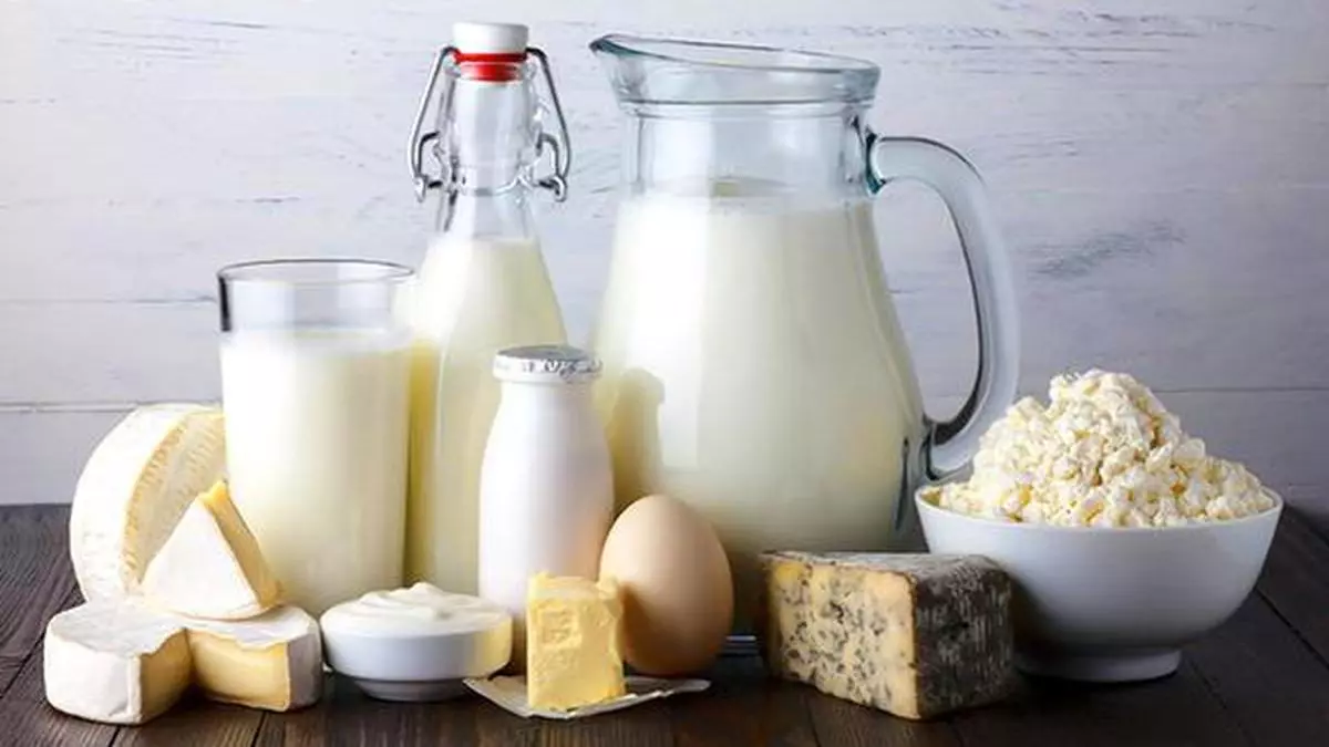 importing dairy products into us