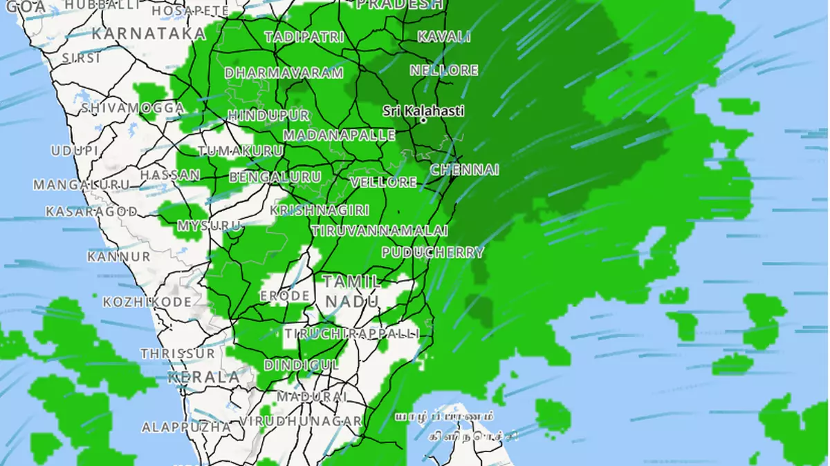 Ghat Regions Of Tamil Nadu Witness Heavy Rain The Hindu Businessline