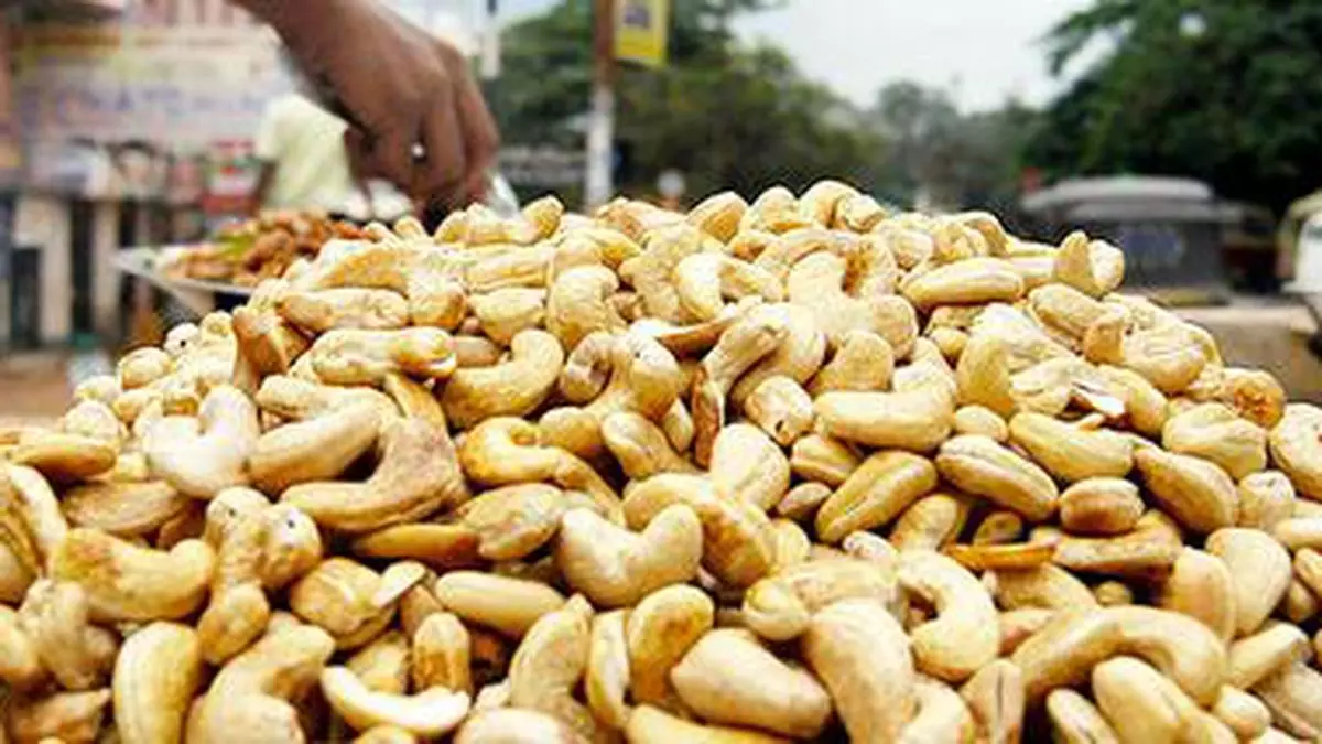 import duty on raw cashew in india