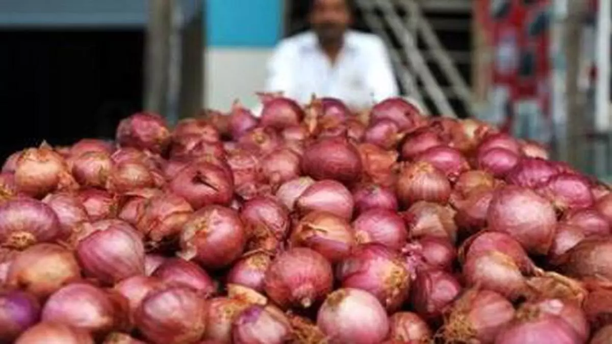 Daily Onion Price Tracker – Tuesday, December 17 - The Hindu BusinessLine