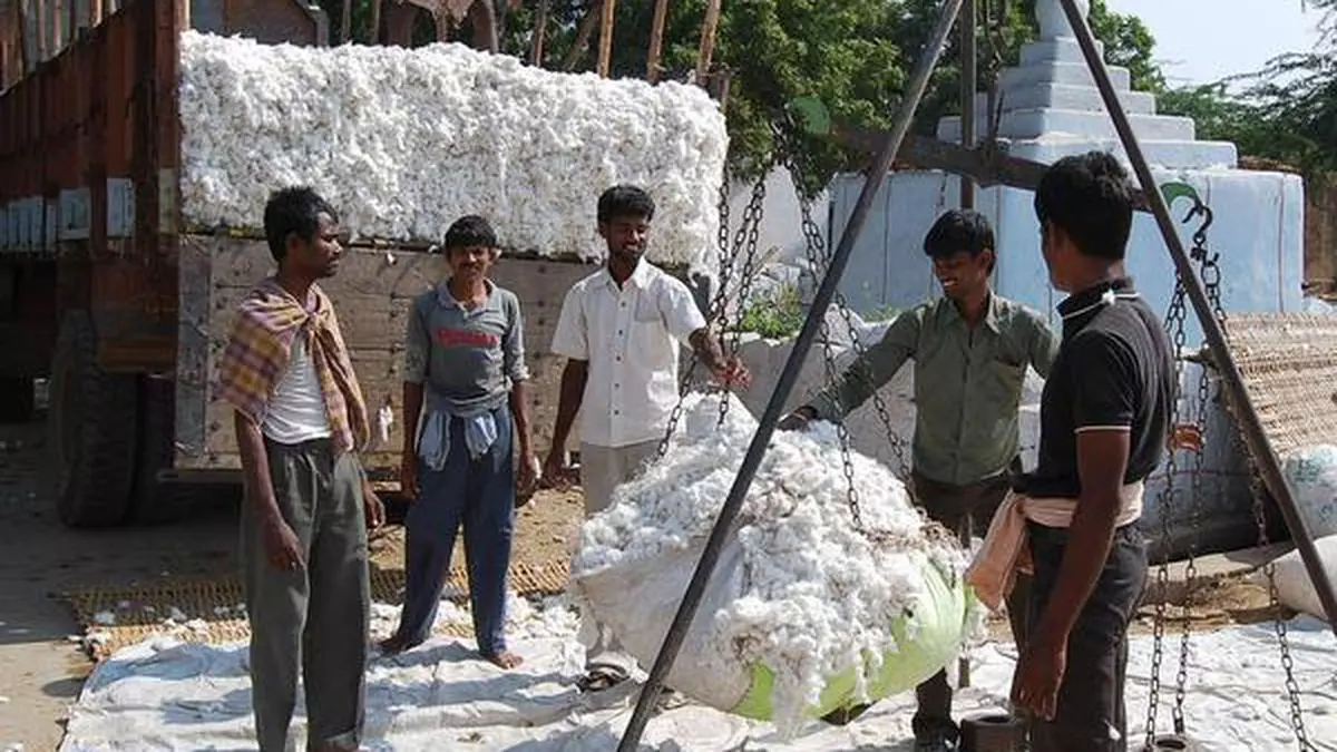 Global cotton prices down 26 on weak demand The Hindu BusinessLine