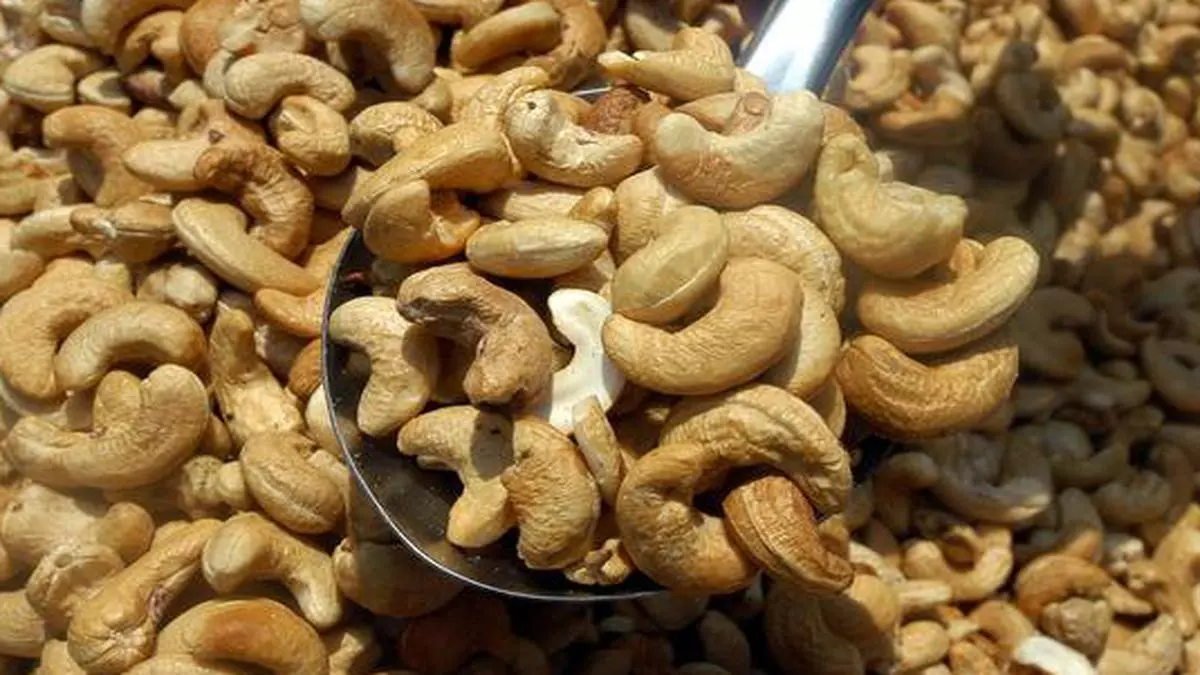cashew nut commodity prices