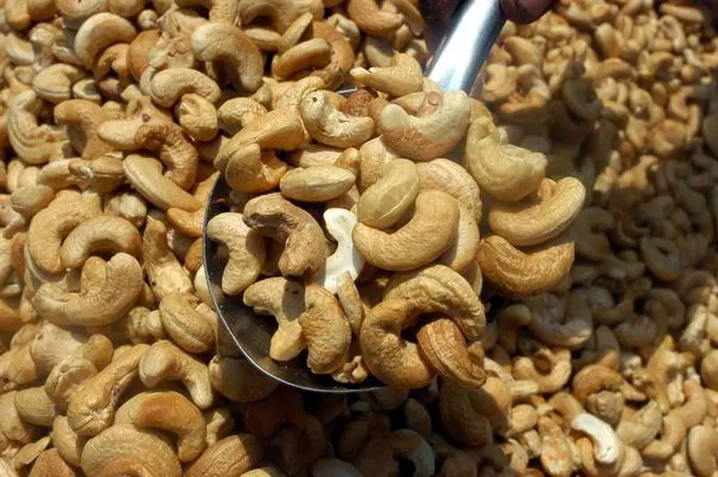 cashew kernel price today