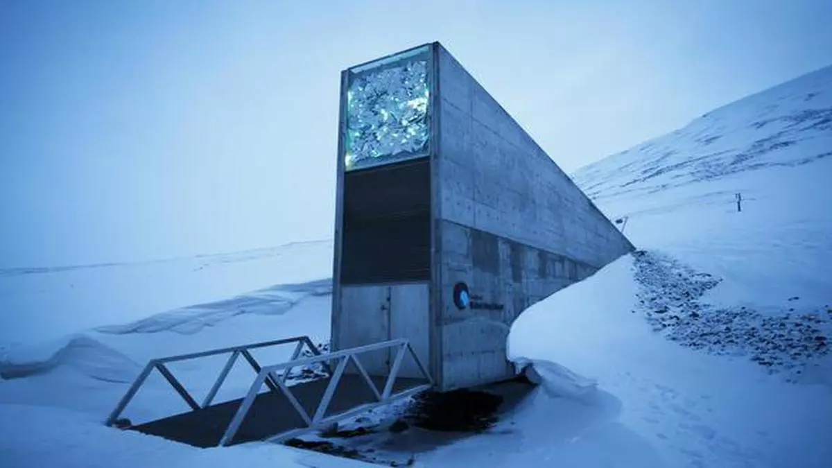 Arctic Doomsday Vault Stocks Up On More Food Seeds The Hindu Businessline