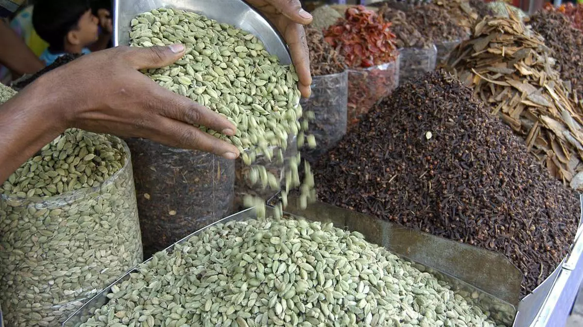 Speculative buying lifts cardamom prices The Hindu BusinessLine