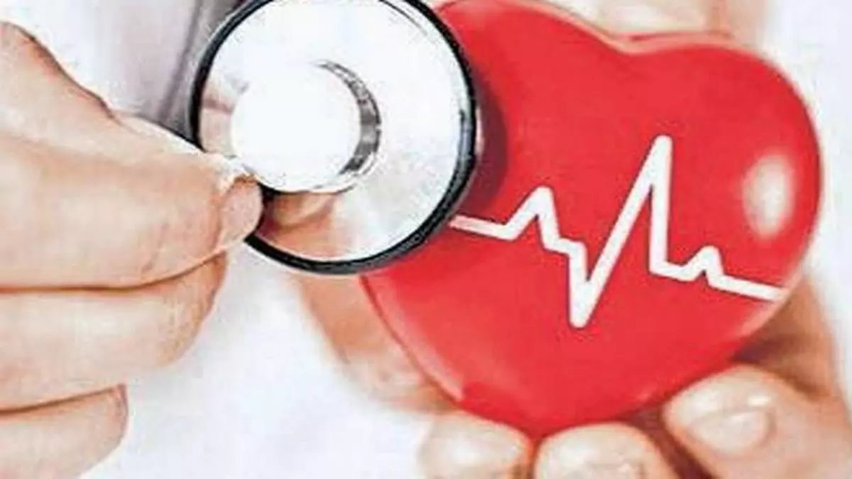 Heart Disease Stroke Among Top Killers In India The Hindu - 