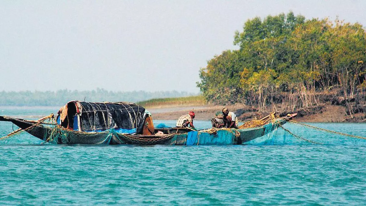 Sundarbans