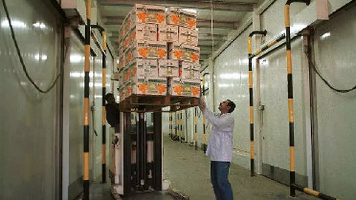 Demolishing the myths about India39;s cold storage shortage