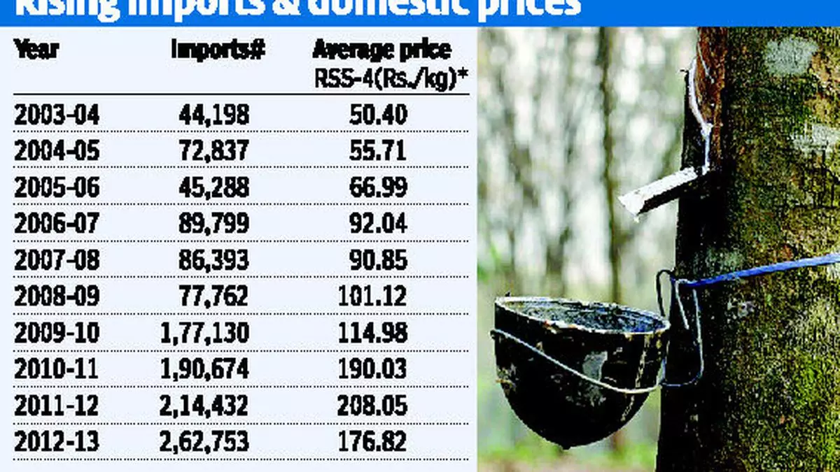 natural rubber price today