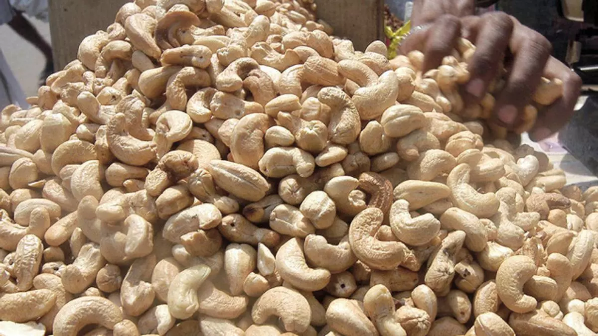 cashew cost