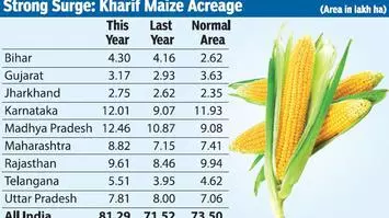 maize optimism acreage guarded bengaluru updated