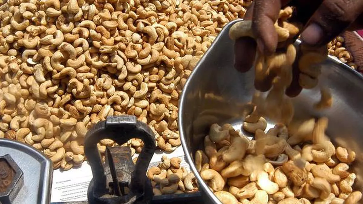 cashew nut price in india 2016