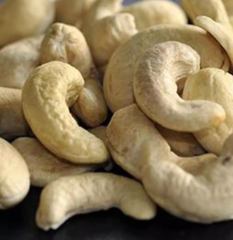 cashew processing cost per kg