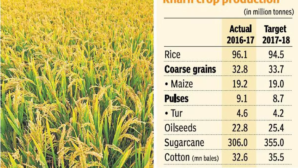 Spotlight Kharif Crop Faces Many Risks The Hindu Businessline