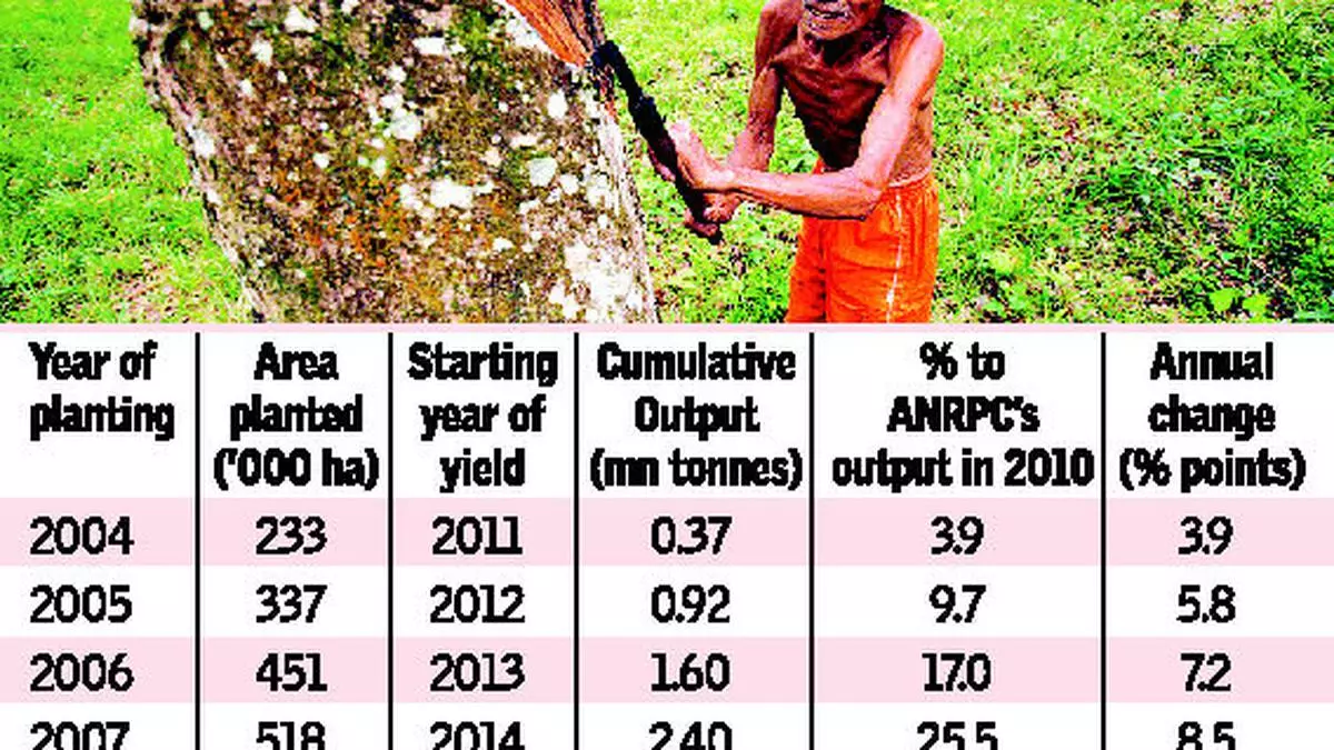 natural-rubber-prices-will-remain-firm-till-april-the-hindu-businessline