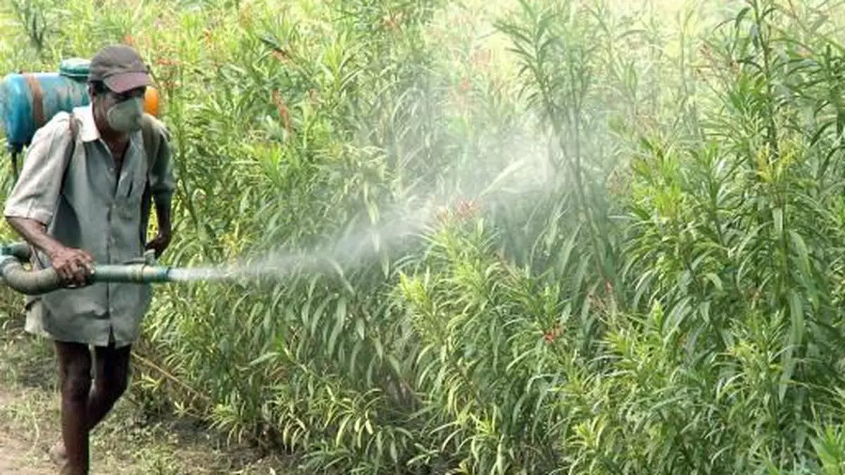SC notice to Centre on plea seeking ban on 85 pesticides The Hindu
