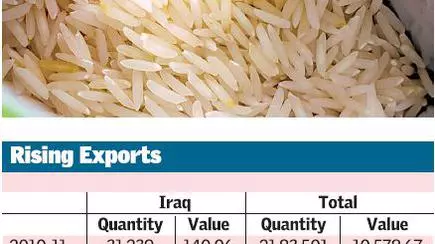 Iraq A New Market For Indias Basmati Exports The Hindu