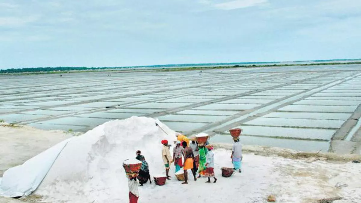 Tuticorin salt manufacturers worried about mounting stocks - The Hindu ...