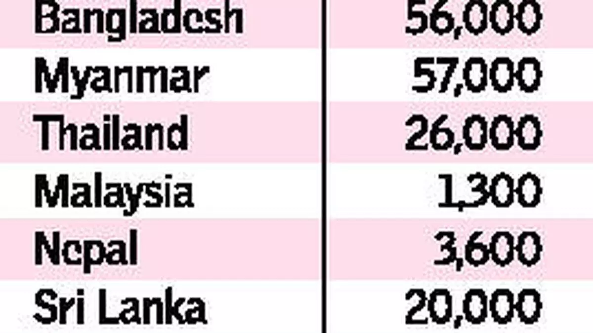 Govt data show arecanut imports at price lower than floor rate 