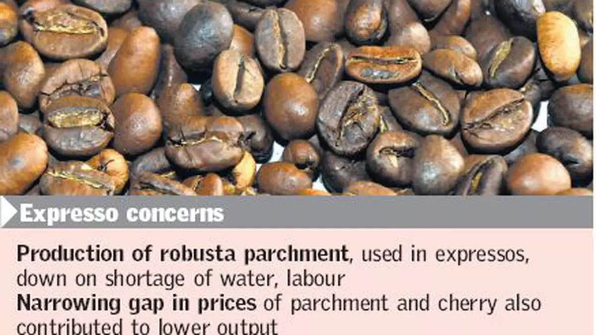 Robusta meaning in hindi