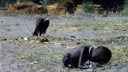 Kevin Carters Iconic Photograph The Vulture In The Frame