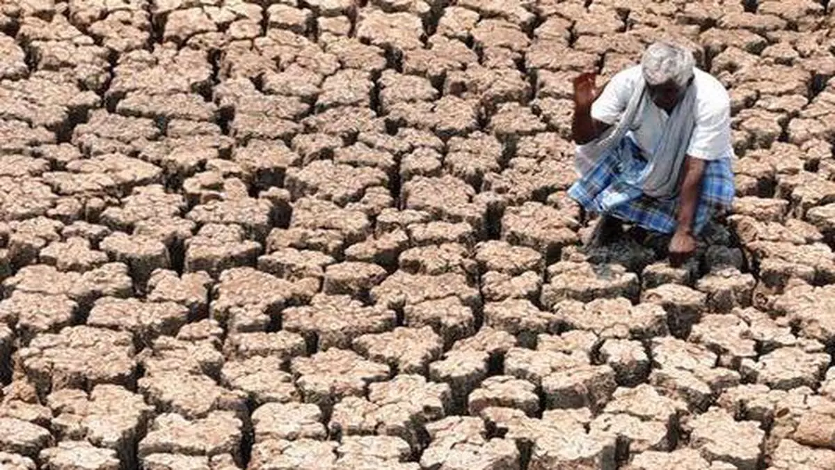 case study of drought in india wikipedia