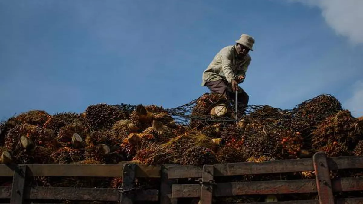 Malaysia Aims To Reduce Foreign Workers In Five Years The Hindu Businessline