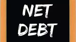 All You Wanted To Know About Net Debt The Hindu Businessline