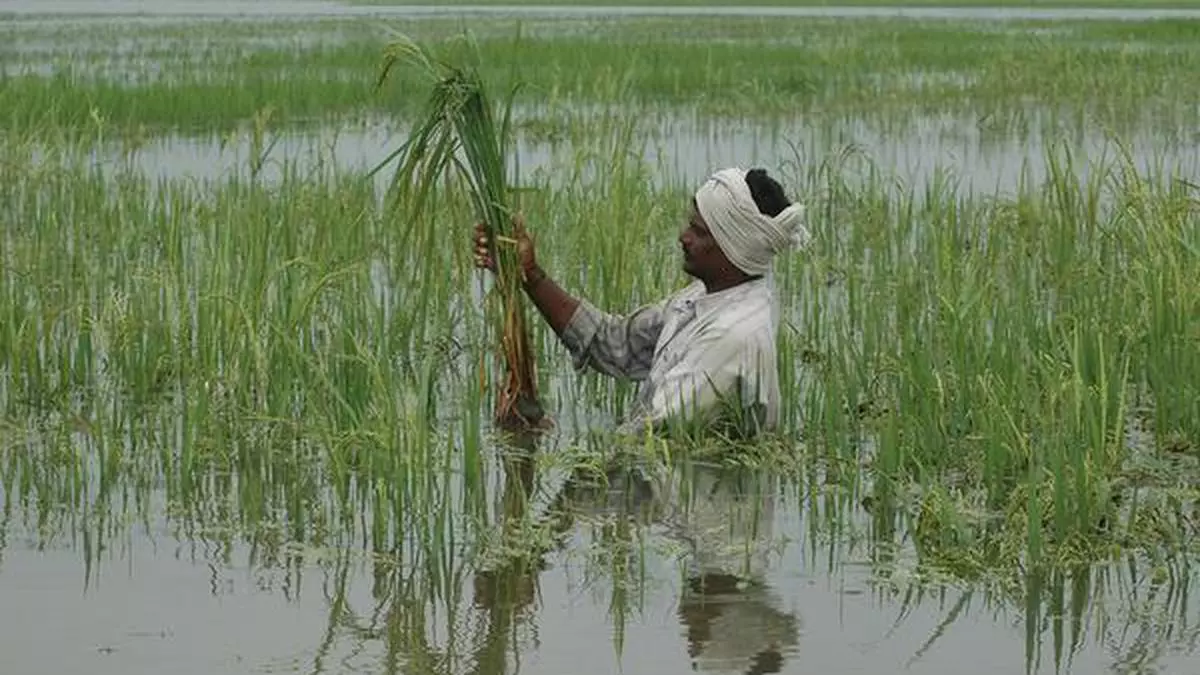 how-to-ease-farmers-fears-of-the-new-laws-the-hindu-businessline